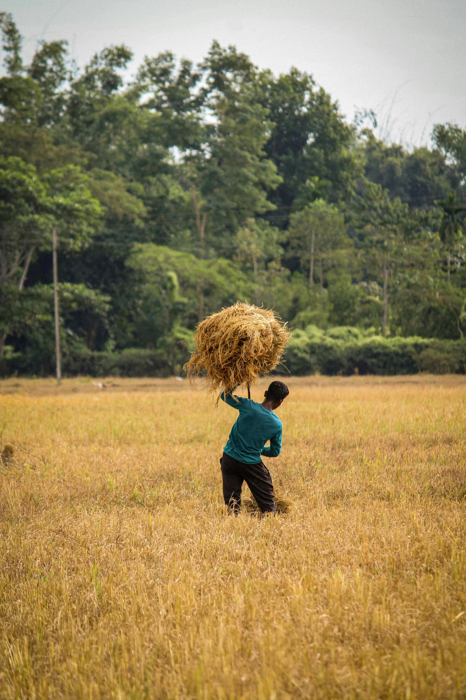 Jorhat