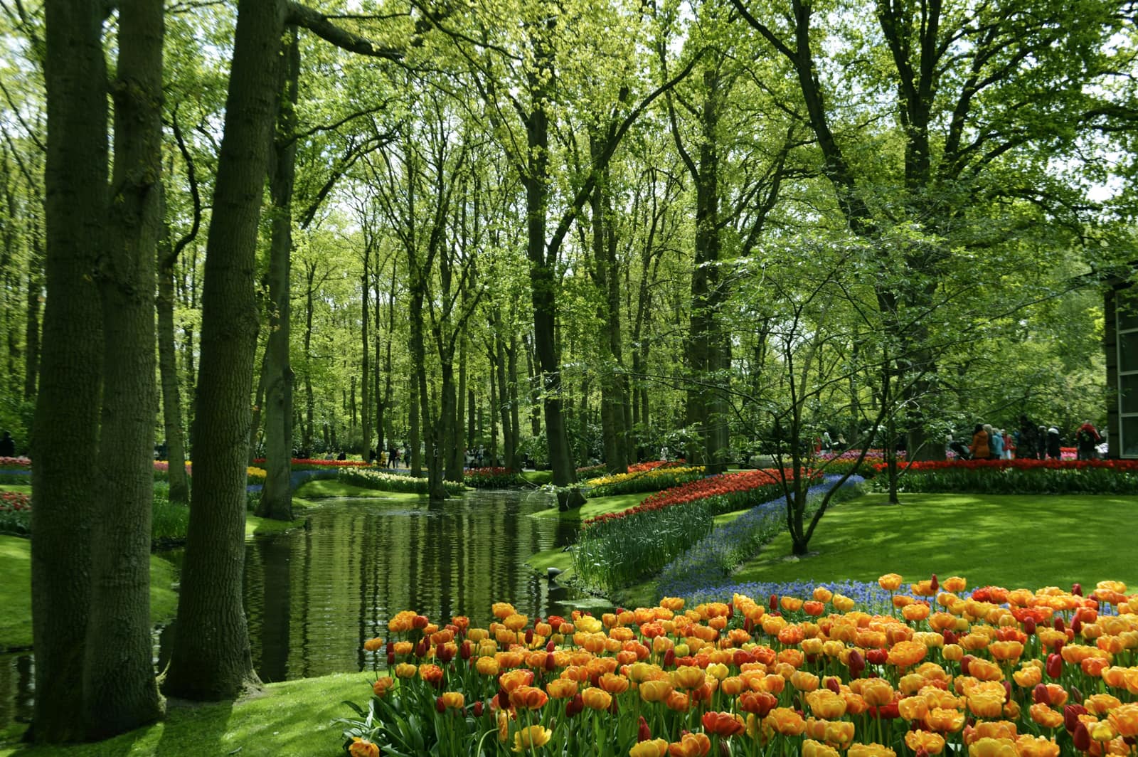 Keukenhof Gardens, Lisse