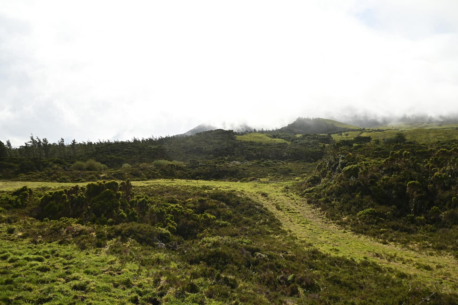 Pico Island