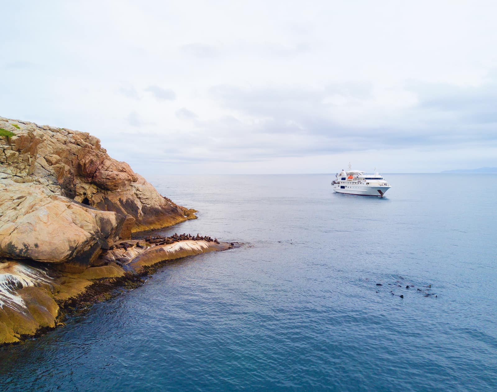 Tasmanian Coastal Discovery