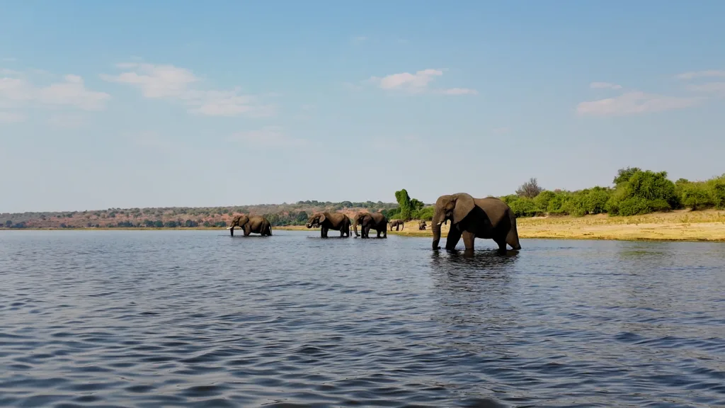 Chobe