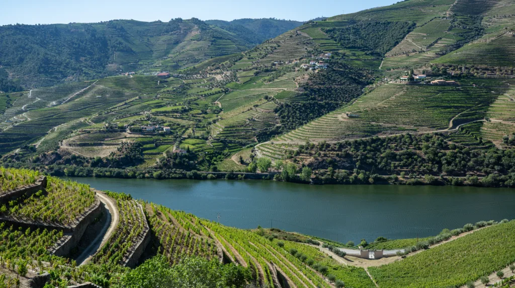 Douro